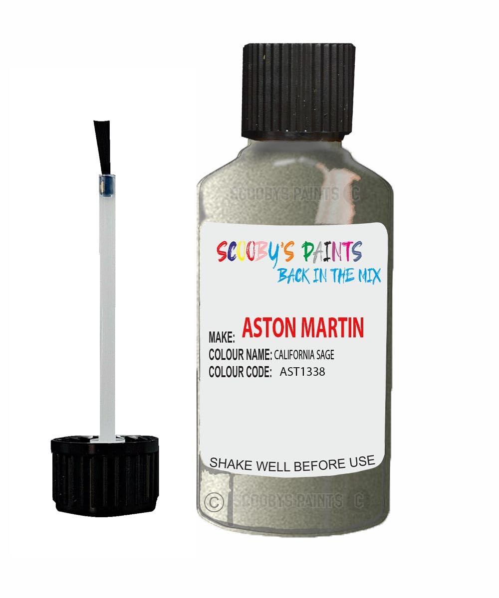 Scoobys Paints Back In The Mix California Sage Touch Up Paint For Aston Martin Ast1338 Metallic