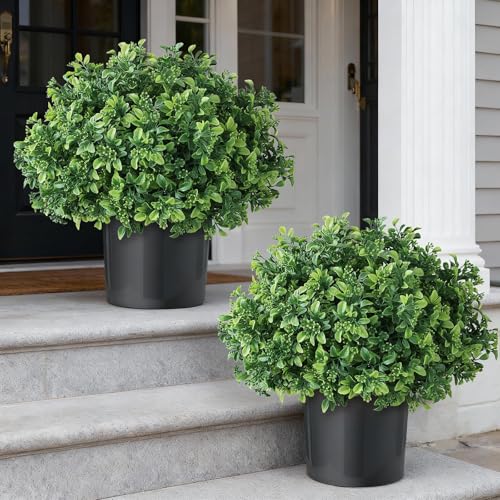 Set of 2 Artificial Boxwood Topiary Ball Trees for Front Door - Realistic Faux Aglaia Odorata Bush...