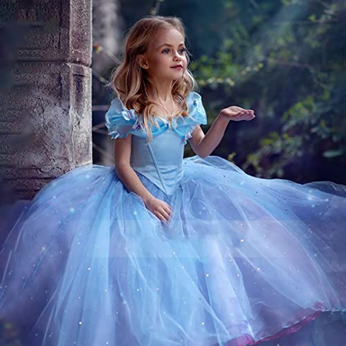 Girls Cinderella Princess Pageant Ball Gowns Kids Tulle Flower Girls Dresses4