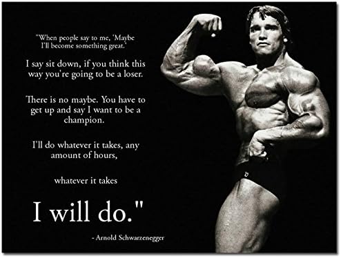 24X36Inch Arnold Schwarzenegger Motivational Poster - I Will Do Whatever It Takes 24X32