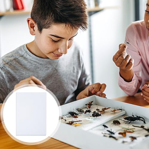 Image of WEBEEDY 5 Pcs White Insect Pinning Board 20.5x14cm /8.1x5.5'' Butterfly Specimen Display Panel EVA Foam Boards Insect Collection Display Supplies for Science Entomology Projects Display