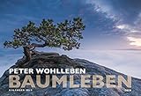 Baumleben: Kalender 2019 - Wandkalender - Peter Wohlleben