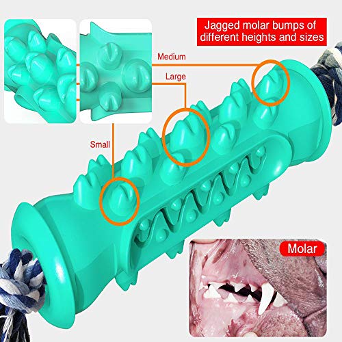 Os cães AnRuiBang com hastes molares de corda são usados para limpar seus dentes e aliviar sua depre