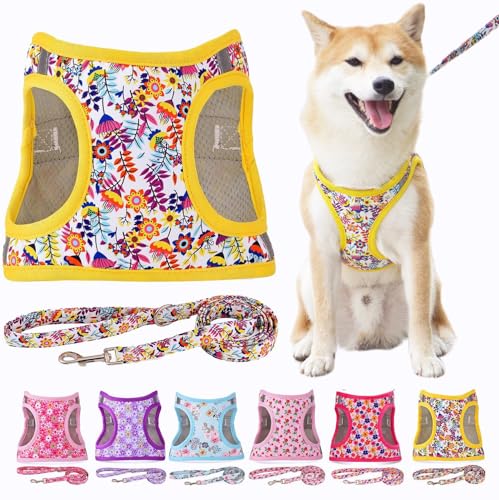 Moonpet Step in Air Set di pettorina per cani con guinzaglio, per tutte le stagioni, riflettente, anti-tiro, con motivo floreale, imbottita, in rete, per gatti e cuccioli di taglia XL, bianco con