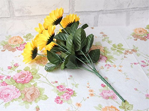 wahl chrome pro men's haircut kit with adjustable taper lever and hard storage case