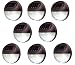 Bear Motion (TM Solar Powered LED Light for Garden, Fence, Walkways Stairways, Path Pathway Lights - 8 Packs