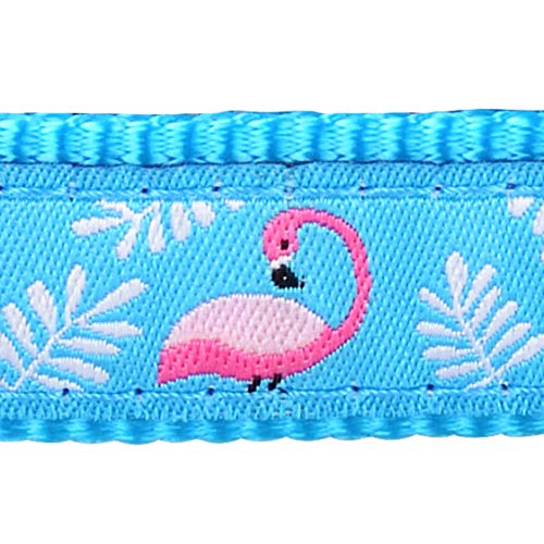 Red Dingo Collare per Cani con Fenicottero