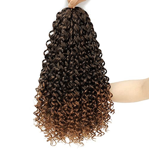 Dansama GoGo Curl Crochet Braids Beach Curl Ocean Wave Crochet Synthetic Hair Extensions (18 inch (Pack of 2), T1B/30)
