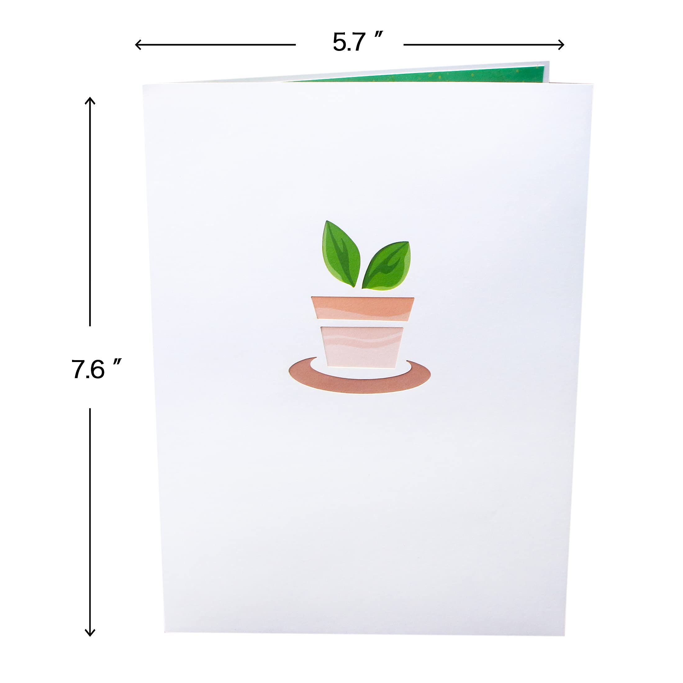 Tarjeta De Felicitación 3d Marco De Flores Día De La Madre | Vector Premium