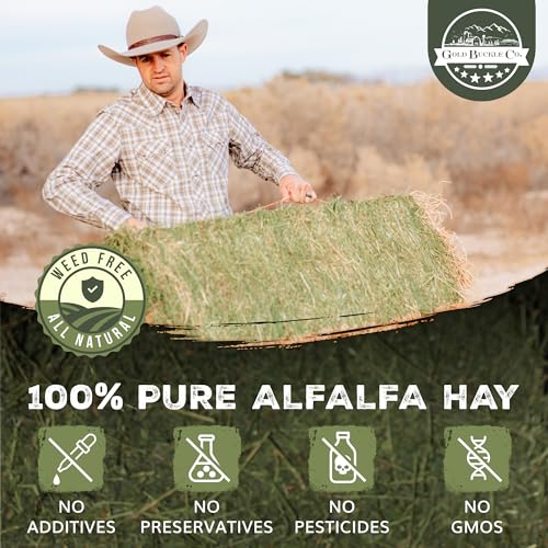 Dried Organic Alfalfa Hay for Guinea Pigs, Rabbits, Chinchillas, Goats, Hamsters & Ferrets, Small Animal Food Rich in Protein & Fiber, Hand-Selected, Hand Sorted (10lb) - Image 5