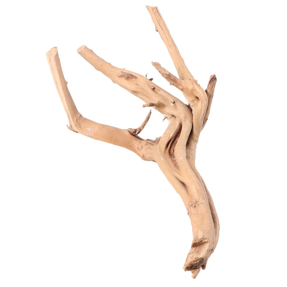 Décoration D'aquarium en Branche Naturelle 30-35 Cm pour Aquarium d'eau Douce Ancrage de Mousse Ph, pour Aquarium de Poissons Plusieurs Styles