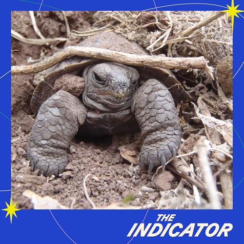 The cost of saving a species Podcast Por capa