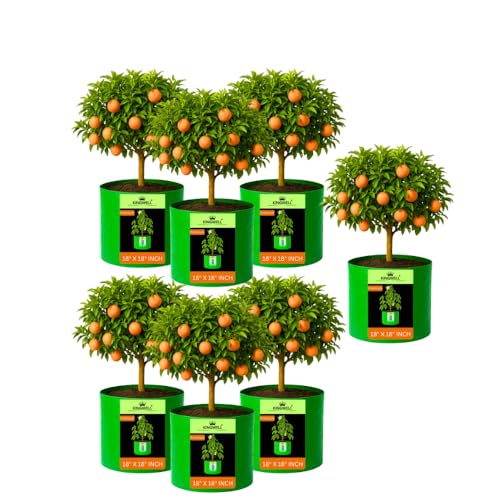 Image of Kingwell grow bags 18x18 inches pack of 7 Grow Bag For Terrace Garden Leafy Vegetable Plant Grow Bags Fruits Growing Containers For terrace Gardening