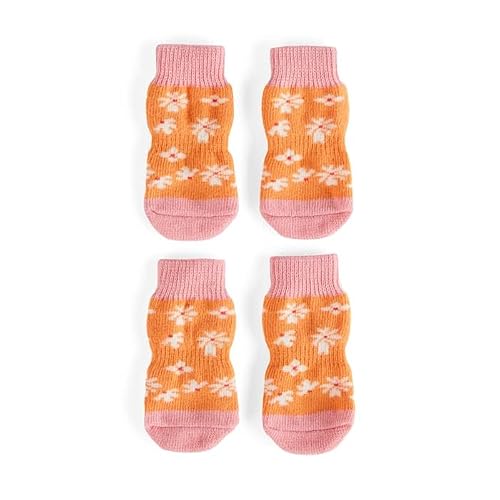 YOULY Daisy Dog Socks, Small/Medium