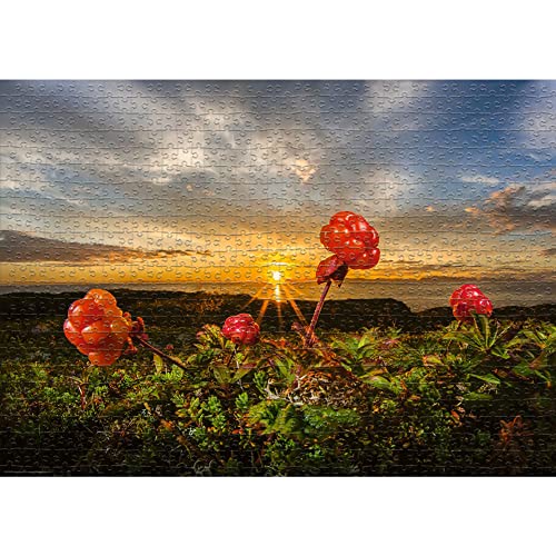 Heye Puzzles - 1000 Pc - Cloudberries, AvH - Image 2
