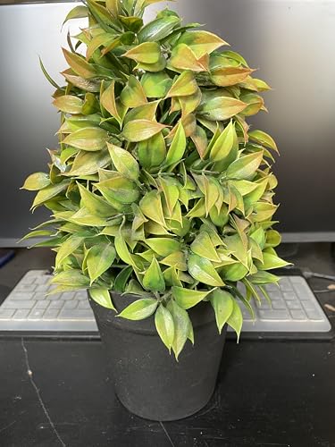 Image of Artificial Realistic Brown Leaves Bonsai Potted Plant for Home Office Kitchen Living Room Hotel Restorent Table Corner Center Piece | Natural Look | Show Piece | 36 cm