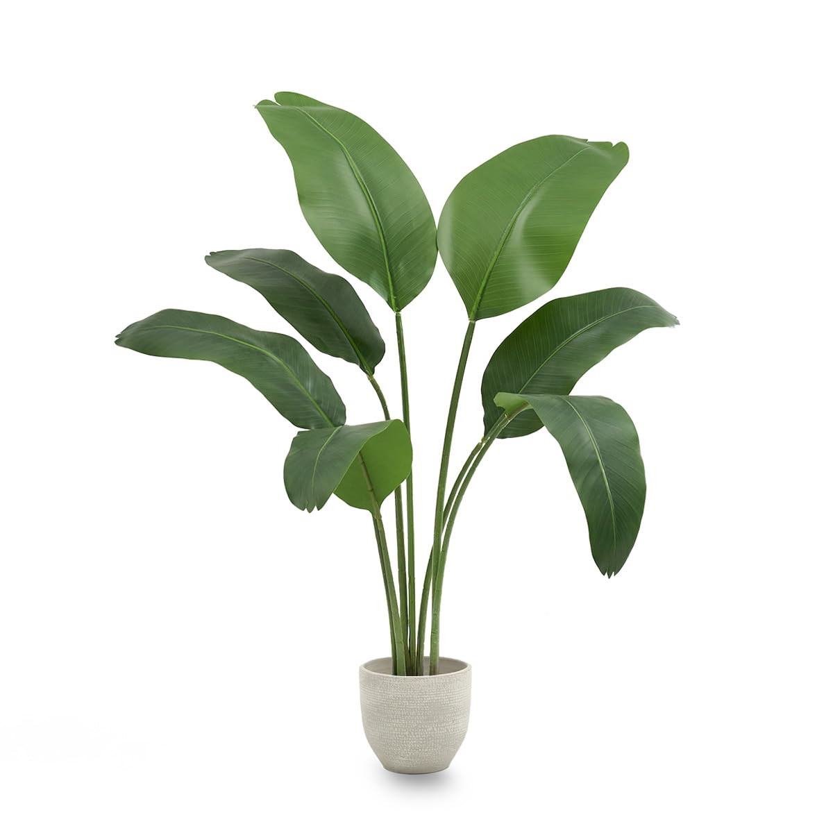 Maia Shop Fiore del Paradiso 120 cm - Pianta Artificiale da Interno