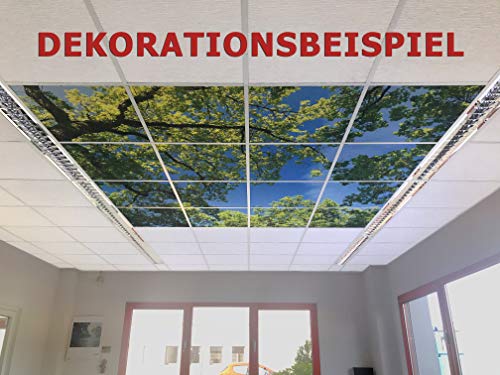 Motivdecken – Designdecken für Kassettendecken – Bedruckte Abhängedecken - Deckenbild für Rasterdecken z.B. OWA Mineralfaser Platten, Knauf AMF, Armstrong Decken Deckenpaneel – 62x62cm Platten