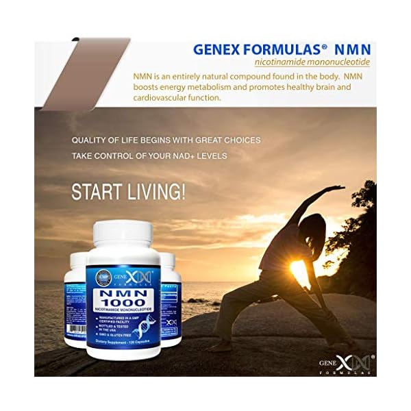 NMN-Stabilized-Form-1000mg-Per-Serving-Nicotinamide-Mononucleotide-Direct-NAD-Supplement-120-Capsules Genex Formulas Supplements - 99% Pure Shelf Stabilized Supplement Capsules for Increased NAD Levels & Healthy Aging, GMP…