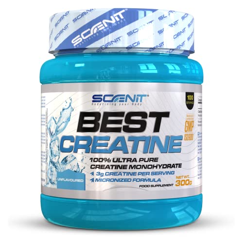 Best Creatine - 300 g - Creatina monohidrato micronizada - Creatina en polvo sin sabor - Creatine monohydrate - Creatina 300g - Creatina monohidratada en polvo pura (300 g)