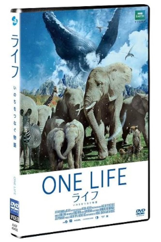 Dr.マスコリーノの関節モビライゼーションテクニック DVD Dr.マスコリーノの関節モビライゼーションテクニック DVD 骨盤