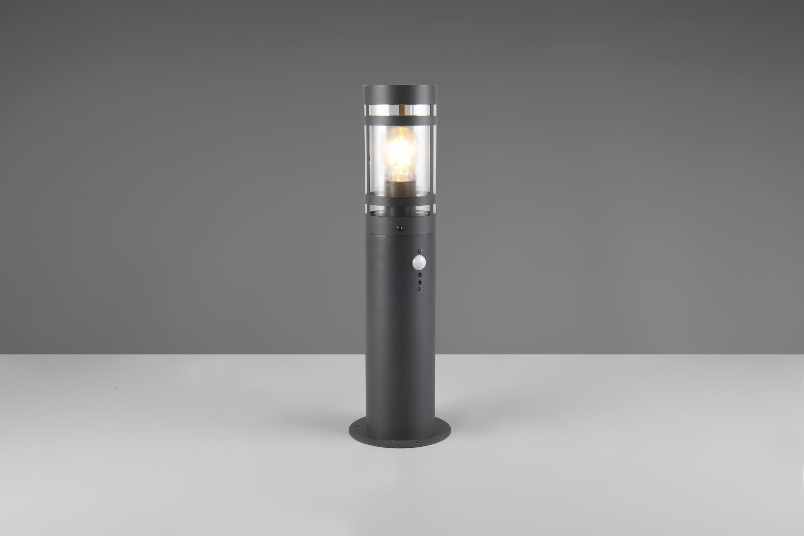Reality Leuchten Paloma R51719142 - Lampada da esterni in metallo antracite, paralume in plastica trasparente, 1 x E27, sensore di movimento