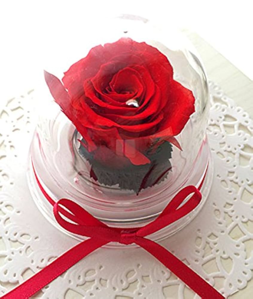 Amazon.co.jp: プリザーブドフラワー 赤 バラ 1輪 ドーム