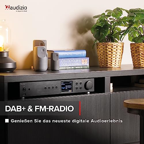 Audizio Adria HiFi-Tuner, Internet Radio, Spotify Player, WLAN Internetradio, Radio mit DAB+ und Bluetooth, UKW Tuner, USB, AUX, RCA Out, Optical, Wecker, Fernbedienung, Schwarz – Bild 4