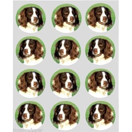 springer spaniel cake topper