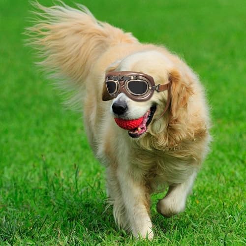 MisFun 1Pcs Retro Hundebrille, Sonnenbrille Hund Brille Hund UV-Schutz, Hundesonnenbrille für Mittel Große Hunde, Sonnenbrille Hunds mit Verstellbare Riemen, für Autofahren/Outdoor-Aktivitäten