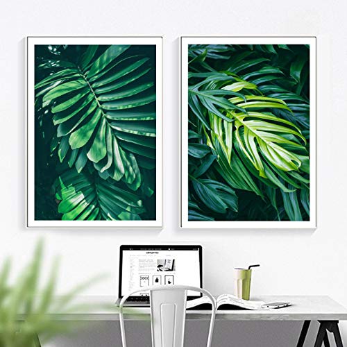 Monstera Fresh décoration murale grand format pour votre salon