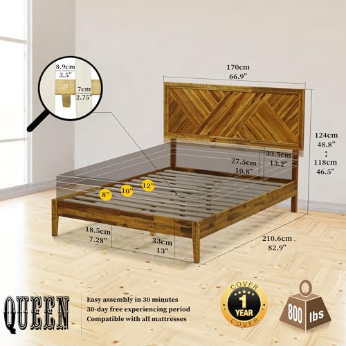 Image of Acacia Sierra Bed Frame with Headboard Solid Wood Platform Bed, Queen Bed Frame, Tall Headboard Wood Bed Compatible with All Mattress Types, No Box Spring Needed, Early American