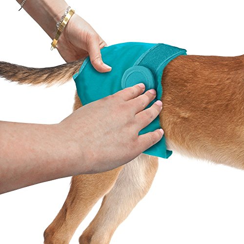 Simple Solution Hunde Windeln waschbar XS - Image 6