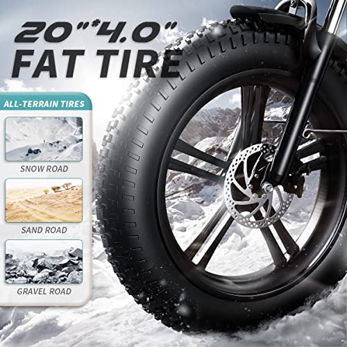 Auloor Electric Bike,750W Ebikes For Adults With 48V 12.8Ah Samsung Battery,20" Fat Tire Electric Bike For Adults, 30Mph Folding Electric Bike,7-Speed Front Suspension Electric Bicycle #TOP7