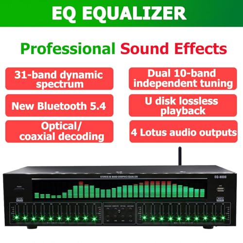 Equalizzatore audio stereo digitale a 31 bande con doppia sintonia indipendente a 10 segmenti e 12 modelli di ritmo per musicisti e appassionati di audio