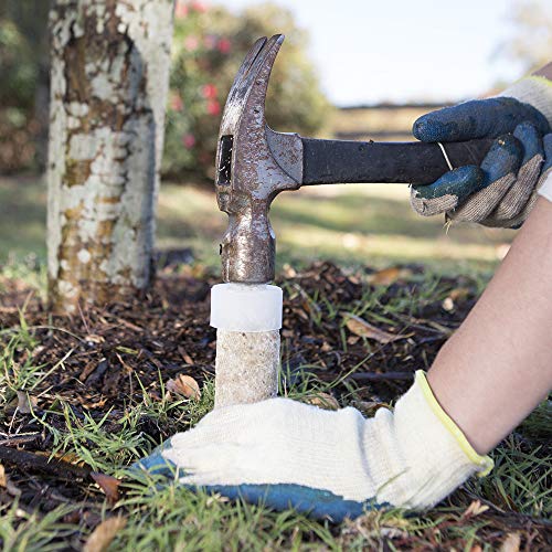 Jobe's, 02010 Fertilizer Spikes, Tree And Shrub, 5 Count #TOP4