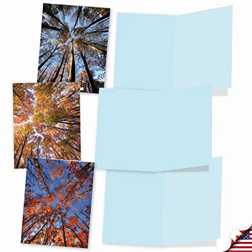 Image of The Best Card Company - 10 Beautiful Note Cards Blank (4 x 5.12 Inch) - Fall and Autumn Season, Boxed Notecard Assortment - Over the Top M2006