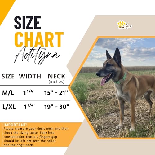 Image of ADITYNA Leather Dog Collar for Medium & Large Dogs, Adjustable 15-21 inch Neck | Padded, heavy-duty metal buckle. Great for walking, training and hiking - ideal for Labrador, Boxer, Pitbull and Collie.