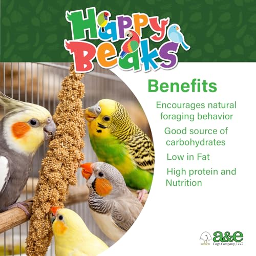 A&E Cage Co Premium French Millet Spray for Birds - 6 Piece, 3oz Pack Natural Spray Millet Treat - Healthy Bird Treat for Parakeets, Budgies, Cockatiels, Finches, Canaries & Small Birds - Image 3