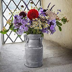 TOPZEA 2 Pack Shabby Chic Milk Can Vase Galvanized Finish Milk Can Vase Rustic Milk Jug Metal Flower Vase Petite Milk Bucket for Home Kitchen Living Room Farmhouse Decor Table Centerpieces