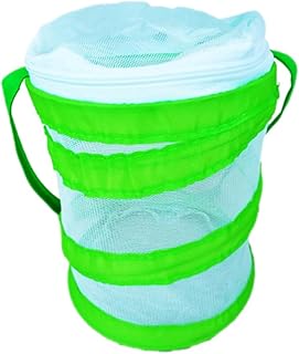 Hohopeti Gaiolas Gaiola De Rede Gaiola De Rede Para Gaiola De Rede Gaiola De Habitat Gaiola De Rede Gaiola De Rede Para Gaiola De Rede Para Planta Habitat De Insetos