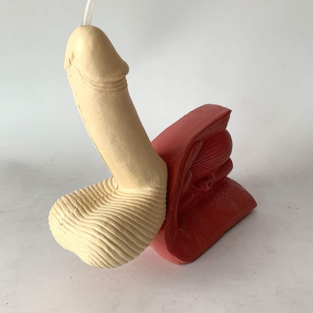 Modèle de cathétérisme Huili - Modèle de Structure reproductrice Interne et Externe de l'urètre Masculin - Modèle de Pratique de Chirurgie médicale de cathétérisme d'intubation