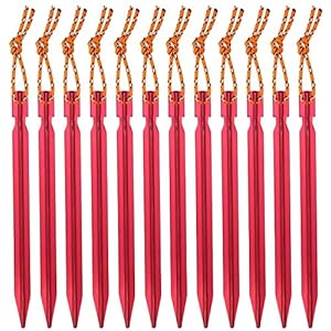 Ahsado Piquets Tente, Sardines Tente Camping 18 cm avec Pochette de Rangement, Lot de 12