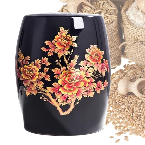 Récipient de stockage de riz céramique étanche boîte céréales 5kg 25kg