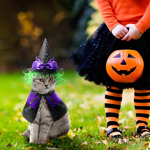 Disfraz Halloween para perros y gatos tamaño pequeño miniatura 6