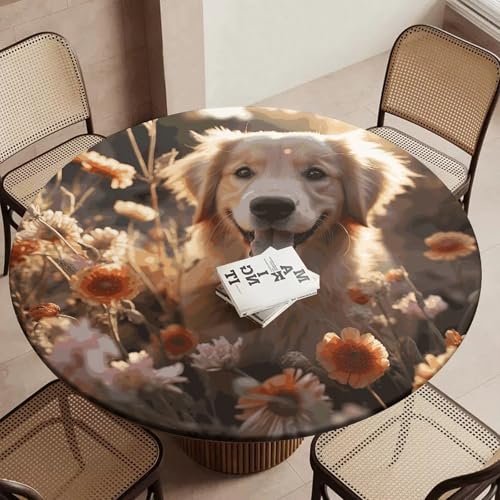 Nappe ronde ajustée extensible Golden Retriever imperméable pour table à manger