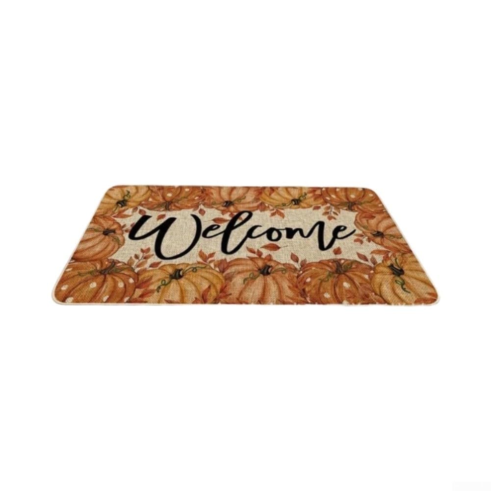 Entrada Diatomita 50x80cm Antideslizante Entrada Diatomita