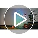 6ft Smart Lighted Christmas Tree 265 LED RGB Outdoor Christmas Cone Tree Music Sync Remote APP Control Timer Dimmable Artificial Xmas Tree for Porch Yard Patio Indoor Decoration