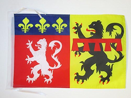 AZ FLAG, Rhône Flag, 18'' x 12'', 100% Polyester French department, France Small Banner with Two Cords, Fade Resistant