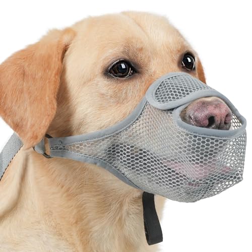 SHUOHONG Hunde Maulkorb, Nylon-Mesh, Atmungsaktiv und Bequem, Maulkorb für Große Hunde mit Verstellbaren Trägern (Grau-L)